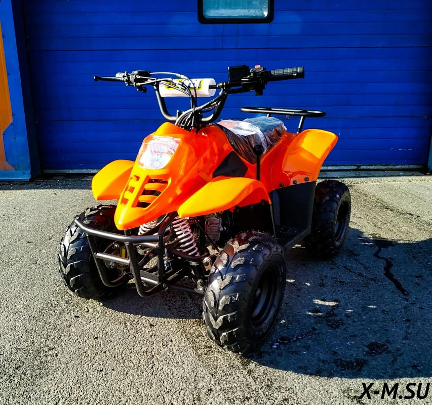 Квадроцикл RAPTOR 110 Квадроцикл RAPTOR 110