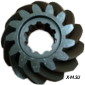 Pinion