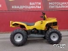 Квадроцикл IRBIS ATV125