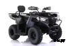 Квадроцикл GBM CRONOS 320 ST