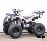 Квадроцикл STALKER 150